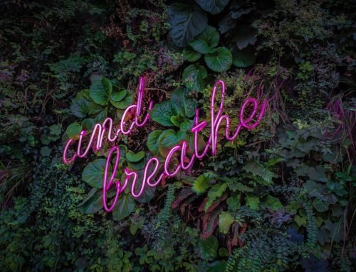 Loan repayments deferred six months for small businesses affected by COVID-19