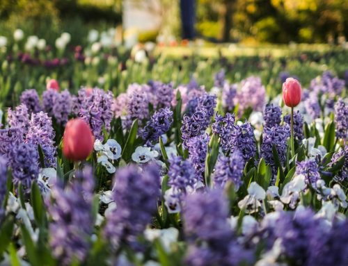 Spring selling season is here. What’s different in 2026?